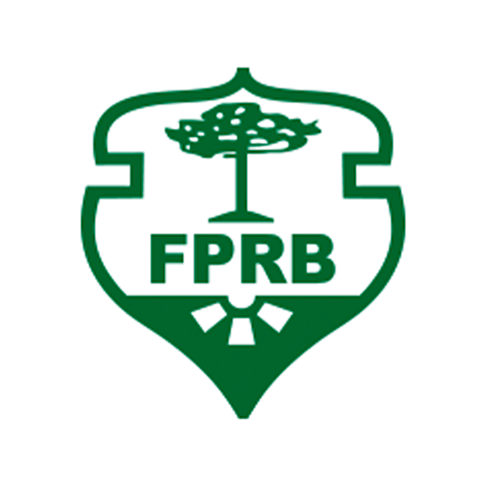 Parceiro 2